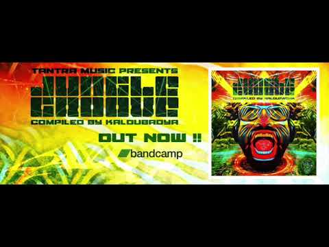 TM VA003   Jungle Groove by Kaloubadya