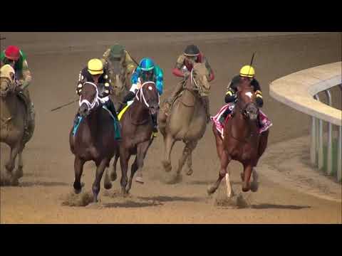 Lane's End - Lexitonian