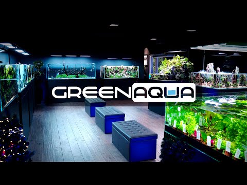 EPIC PLANTED TANKS AT GREEN AQUA - 2020 CINEMATIC ROUND-UP