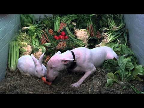 102 далматинца - Трейлер