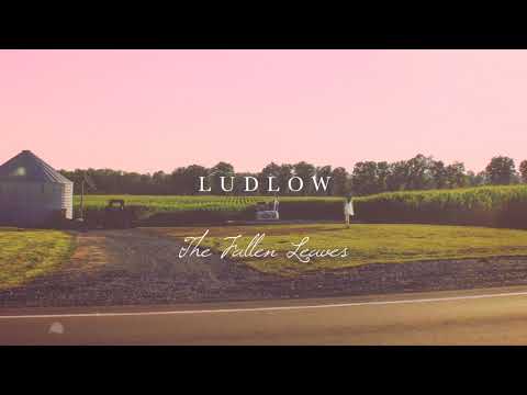 Video thumbnail for The Fallen Leaves