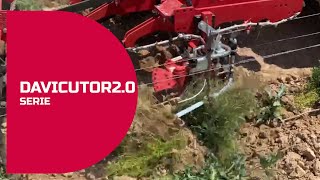 ID DAVID DAVICULTOR 2.0 культиватор с межкустовыми культиваторами youtube thumbnail 4