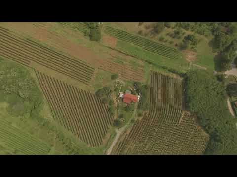 Reizer Wine - Turulung Hills