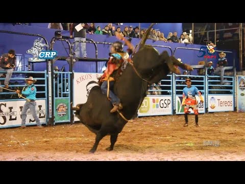 Rodeio da FAPI de Ourinhos 2016 - MELHORES TOUROS / QUINTA FEIRA