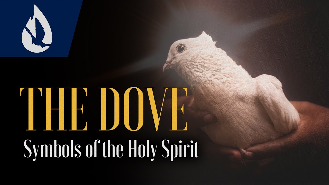 What does a dove represent in the Bible? Ask Library