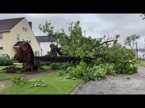 08-11-2021 - Detroit, MI - Severe Thunderstorms - Widespread Damage