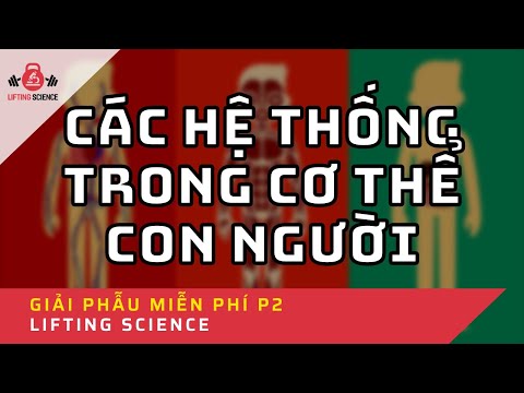 Série Giải Phẫu Thể Thao - Phần 2 |