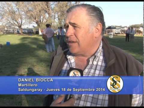 Don Benjamín - Nota Daniel Biocca - Saldungaray - 18/09/2014