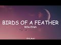 Billie Eilish BIRDS OF A FEATHER Lyrics Loop Video