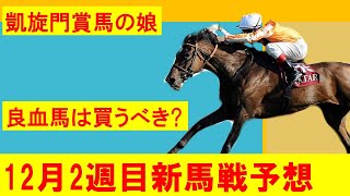 【12月2週目新馬戦予想】12月9日・10日新馬戦注目馬紹介！！凱旋門賞馬の娘やジオグリフの半妹が登場！！3億円ホースも！