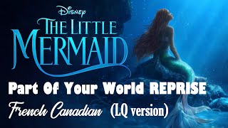 Musik-Video-Miniaturansicht zu Parmi ces gens (Reprise) [Part of Your World (Reprise)] (Canadian French) Songtext von The Little Mermaid (OST) [2023]