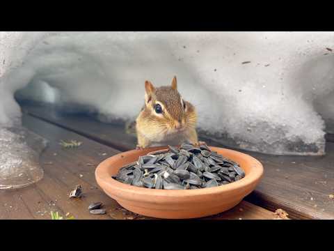 테리가 환생한 느낌