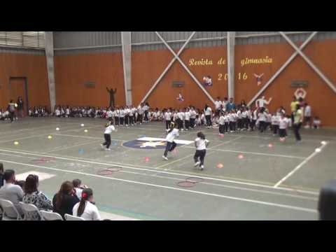 Revista de Gimnasia 1° Básico A