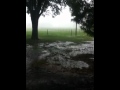 It's Raining