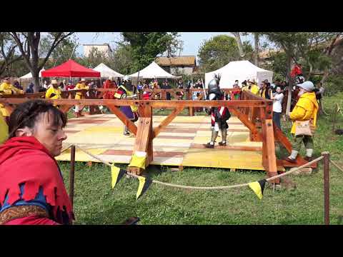 BOTN 2018 Longsword Ger AUS