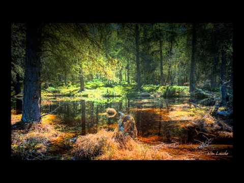Karol Szymanowski,  Variations in B flat minor op. 3