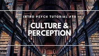 Culture and Perception (Intro Psych Tutorial #58)