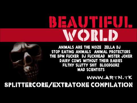 Beautiful World Full Compilation Album 2014 /// Splittercore/Extratone