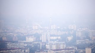 Air pollution-related deaths: exhaust fumes biggest killer in Europe, finds report