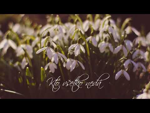 LÁSKA NECH SÚDI NÁS | Love Song - Pavel Habera |