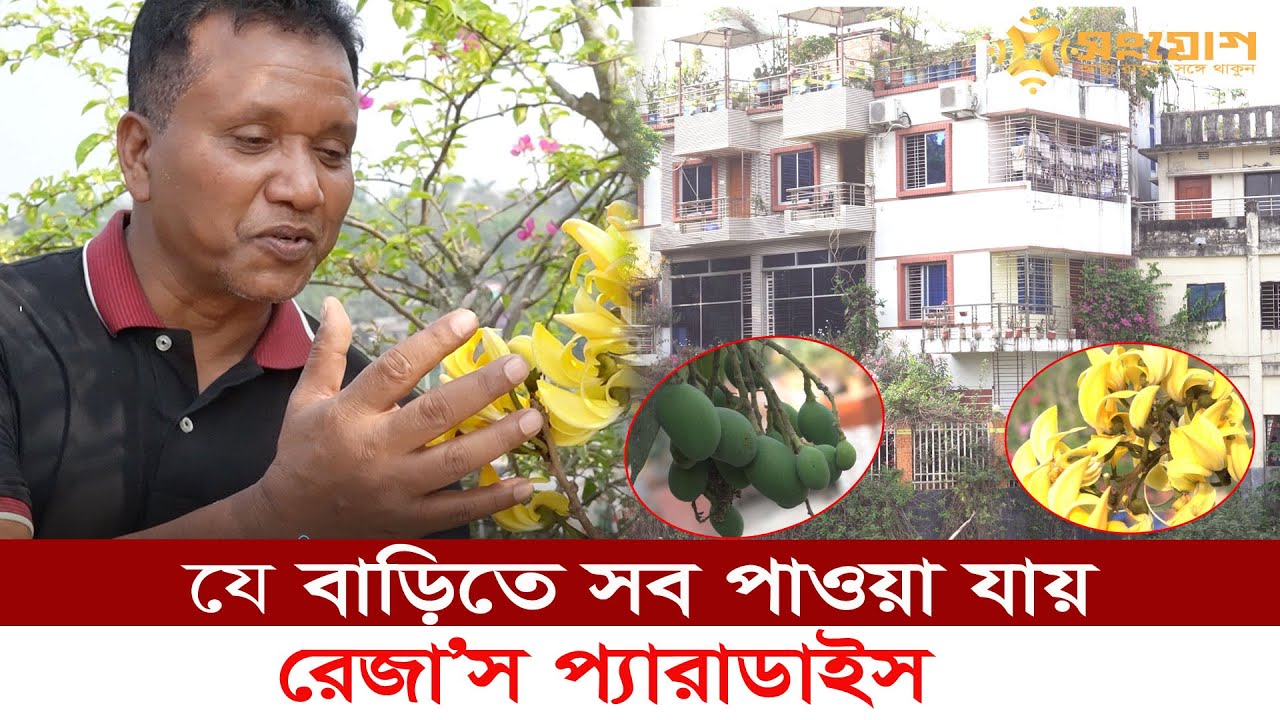 যে বাড়িতে সব পাওয়া যায়