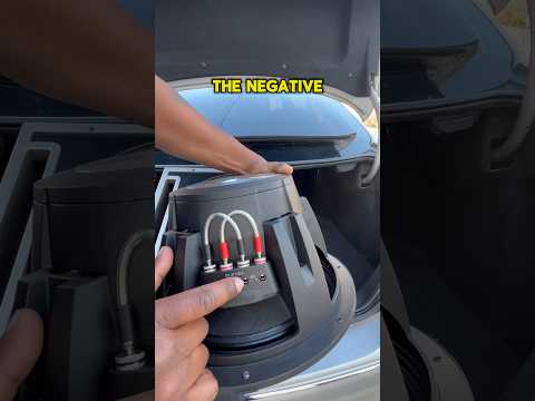 How to wire a subwoofer in a box Wiring an Alpine type R. Check it out. Dual 4 ohms #caraudio