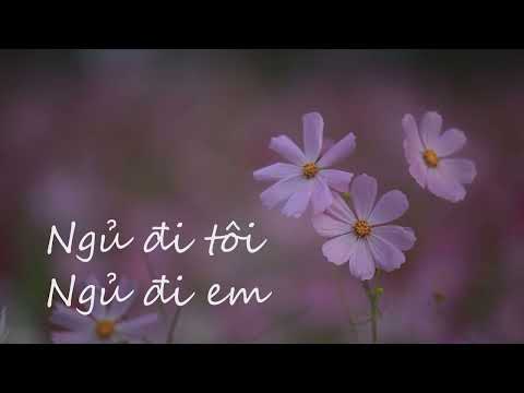 Ngủ đi tôi ngủ đi em - Thanh Sang