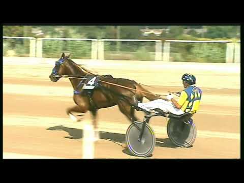 Trotto 18/09/2020 - 4ª corsa