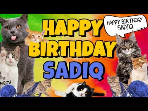 Happy Birthday Sadiq! Crazy Cats Say Happy Birthday Sadiq (Very Funny)