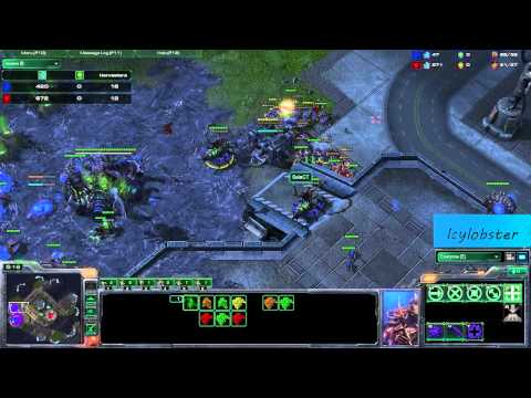 SC2 - Idra[Z] vs SeleCT[T] Game 4