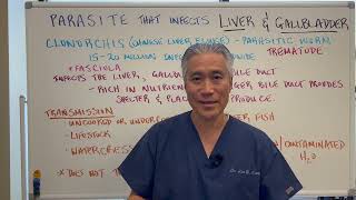 The Silent Parasite Eating Your Liver and Gallbladder Alive-Liver Flukes