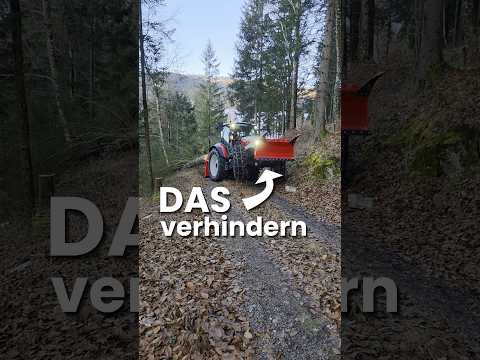 Weiter gehts beim Polterschild!