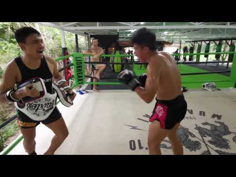 Harris Working On Pads