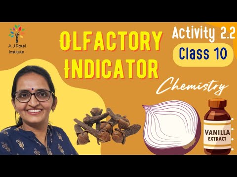 ACTIVITY 2.2 ll CLASS 10 ll SCIENCE ll CHAPTER 2 ll NCERT ll ANKITA MAM