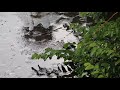 Aziyat 2 0 Pratyush Dhiman Shivoryx PART2 Status Reels Onesidedlove Ektarfapyaar Shorts