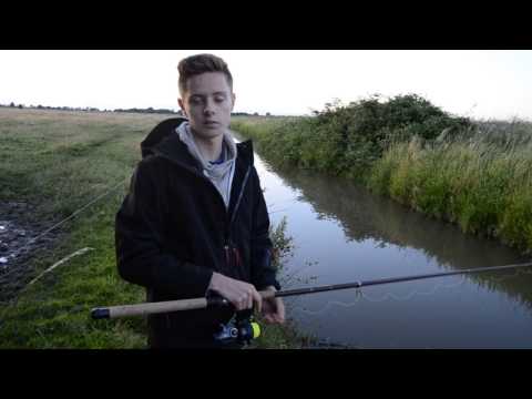 Aale im Graben - So einfach geht's #6