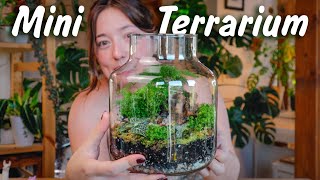 Decorative glass TERRARIUM for indoor PLANTS