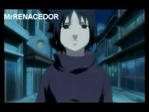 FernandopxBl’s Video 109371318005 yWZXBpSOJDA