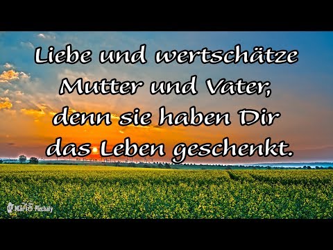 PORTALTAG ORAKEL 23.08.2018 ✨ "HEILUNG VON ALTEN ENTTÄUSCHUNGEN + FAMILIENKUMMER" 👨‍👩‍👧‍👦