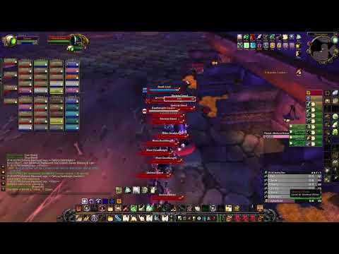 Classic Era WoW Naxxramas Stable Pull | Holy Paladin POV