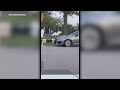 Bizarre Video Captures Group Of People Allegedly Removing Swan From Park In Queens