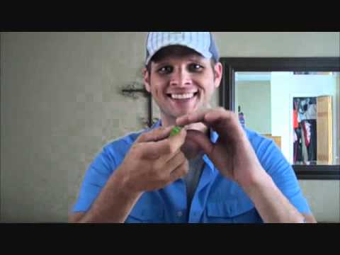 No Smoking Zone  @ Morrissey's