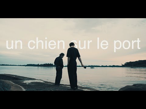 Terrenoire - un chien sur le port (sur la pointe d'arradon)