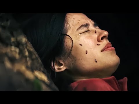 Трейлеры Замри