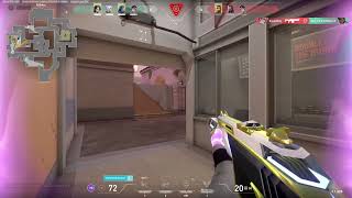 Spotlight Clip