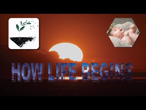 How Life Begins || Harun Yahya Documentary