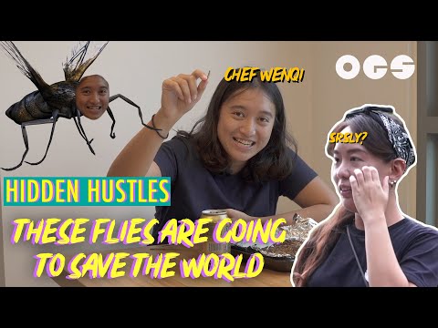 These Flies Are Going To Save The World | Hidden Hustles