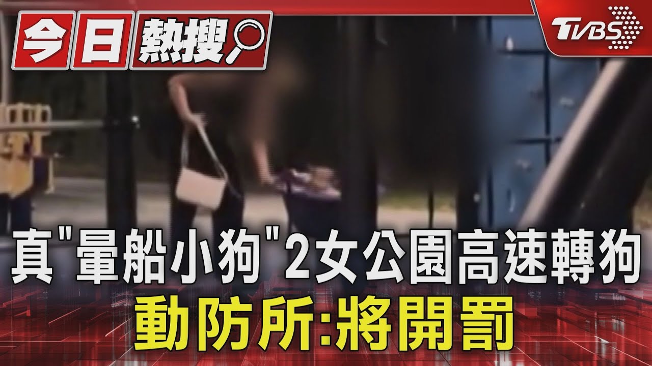 真「暈船小狗」2女公園高速轉狗 動防所:將開罰
