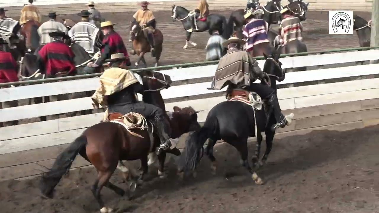 Serie de Campeones rodeo Asociación Talca 12-13 octubre 2024