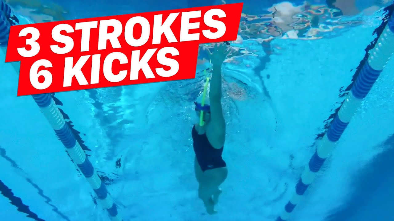 Beginner Swim Drill: 3 Strokes 6 Kicks